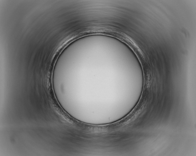 X0000112870786200908211029