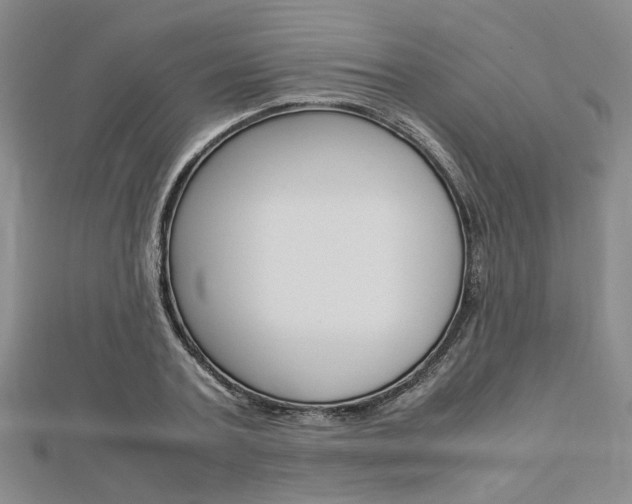 X0000112870787200908211029