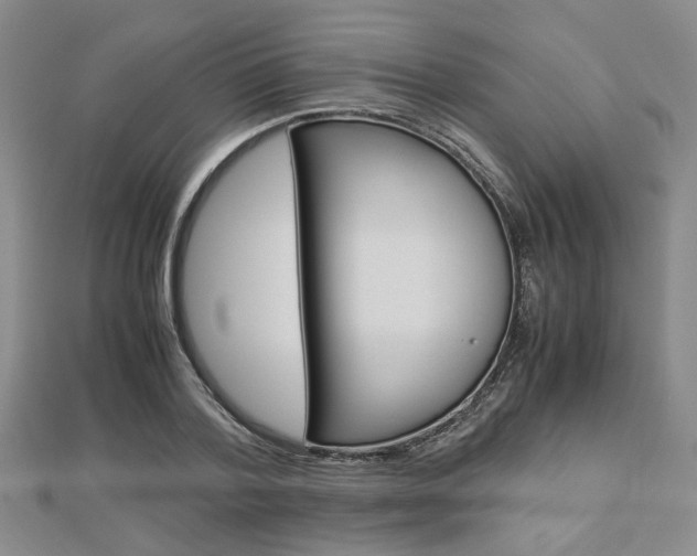 X0000112870788200908211029
