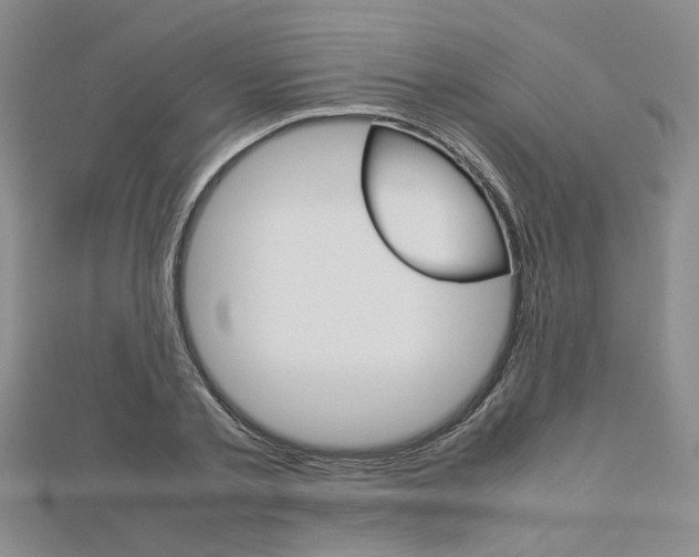 X0000112870789200908211029