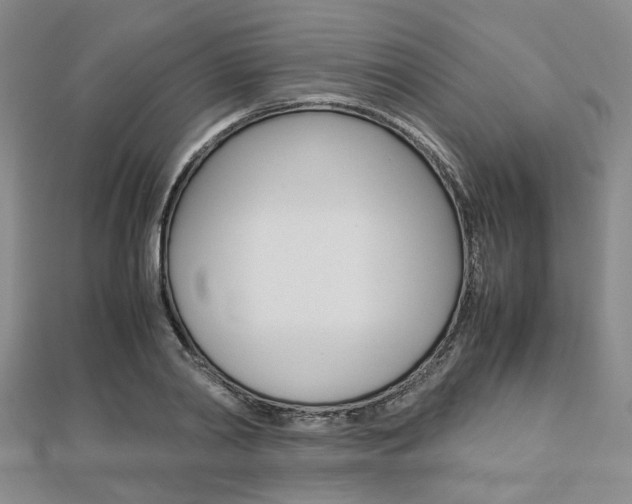 X0000112870790200908211029