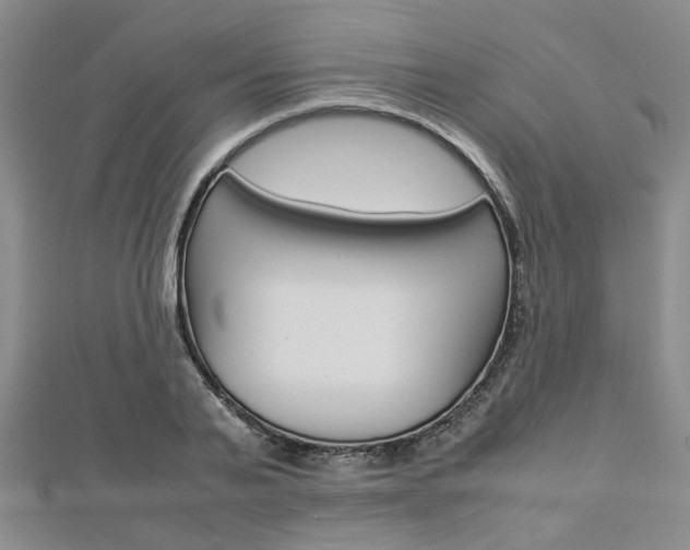 X0000112870791200908211029