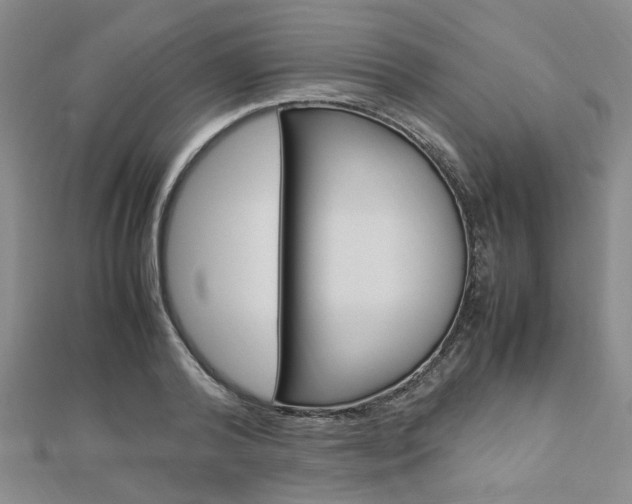 X0000112870792200908211029