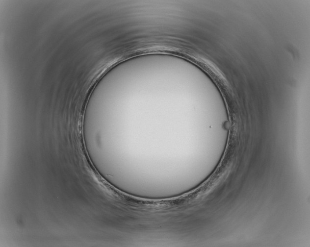 X0000112870793200908211029