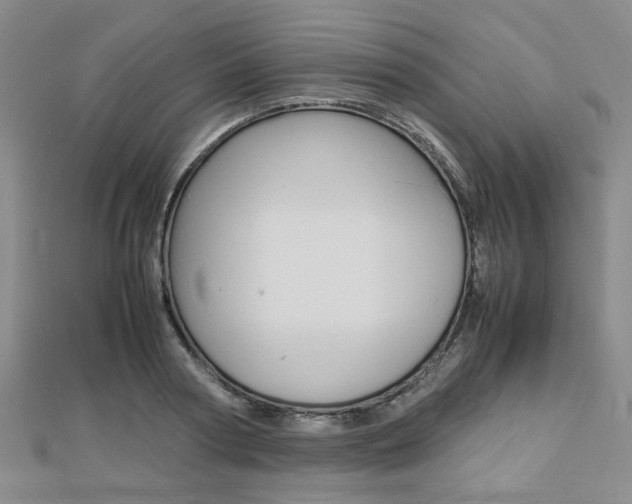 X0000112870794200908211029