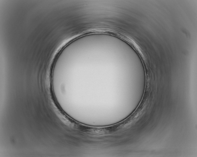 X0000112870795200908211029