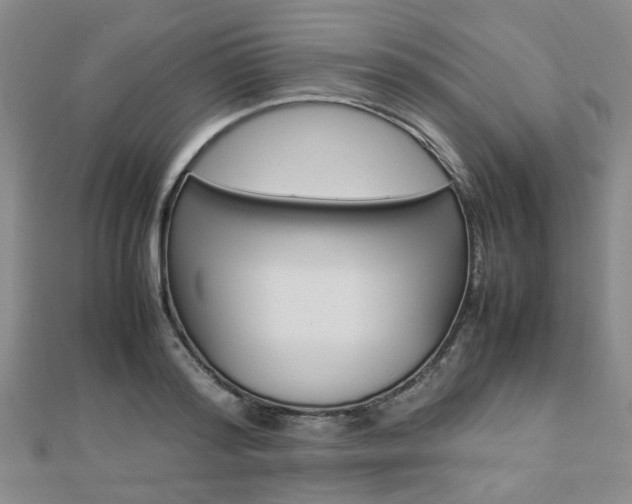 X0000112870796200908211029