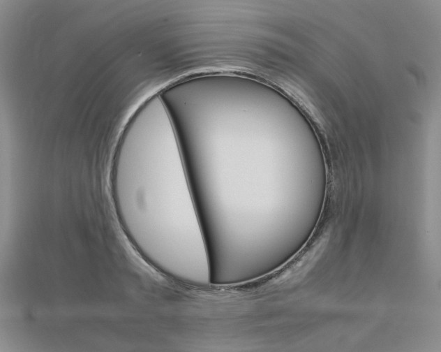 X0000112870797200908211029