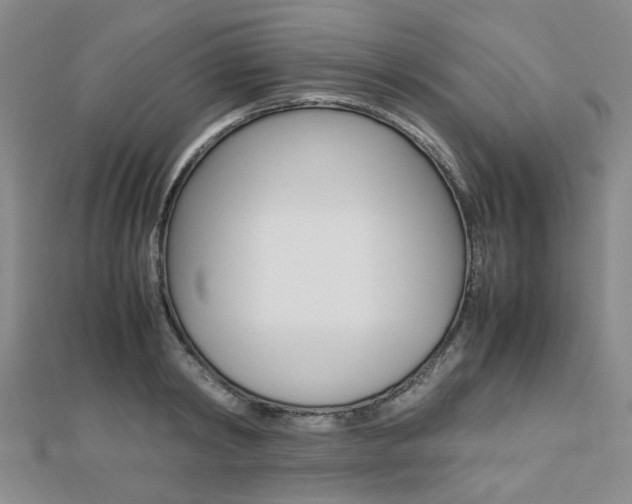 X0000112870798200908211029