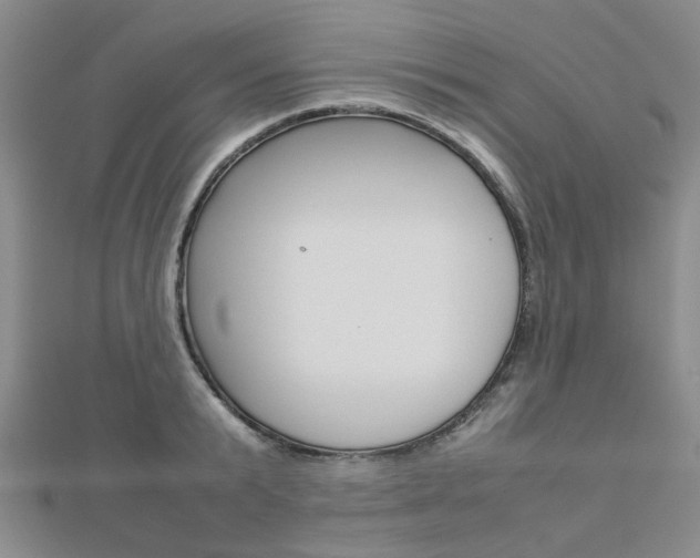 X0000112870799200908211029