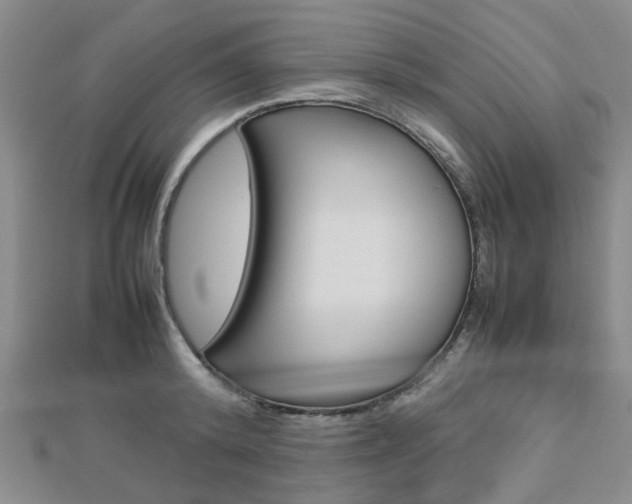 X0000112870800200908211028