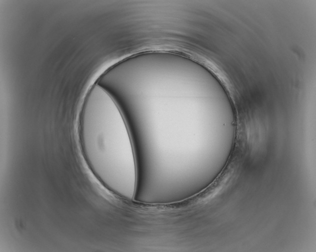 X0000112870803200908211028