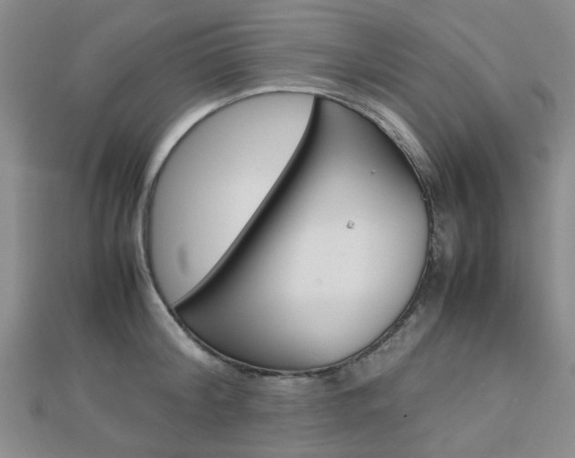 X0000112870804200908211028