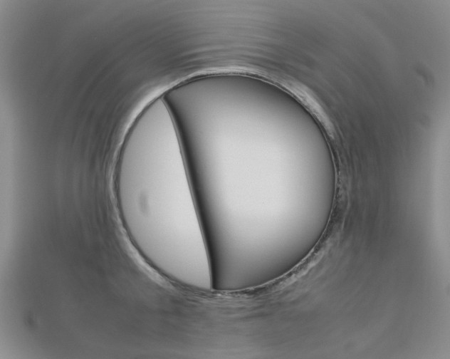 X0000112870805200908211028