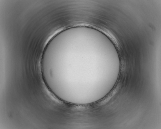 X0000112870806200908211028