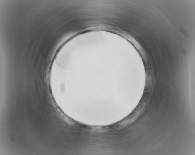 X0000112870807200908211028