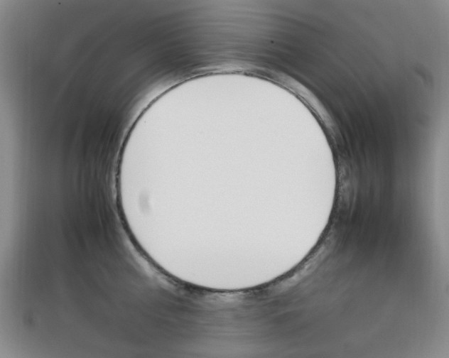 X0000112870810200908211028