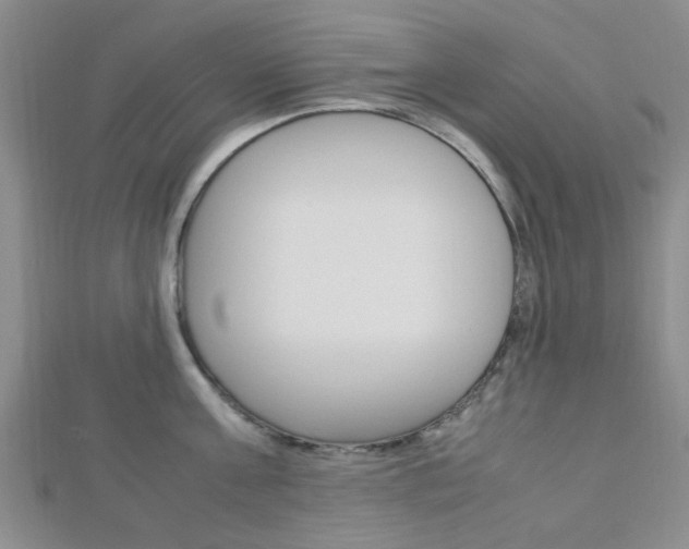 X0000112870811200908211028