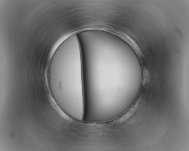X0000112870812200908211028