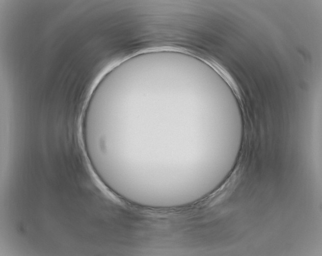 X0000112870813200908211028