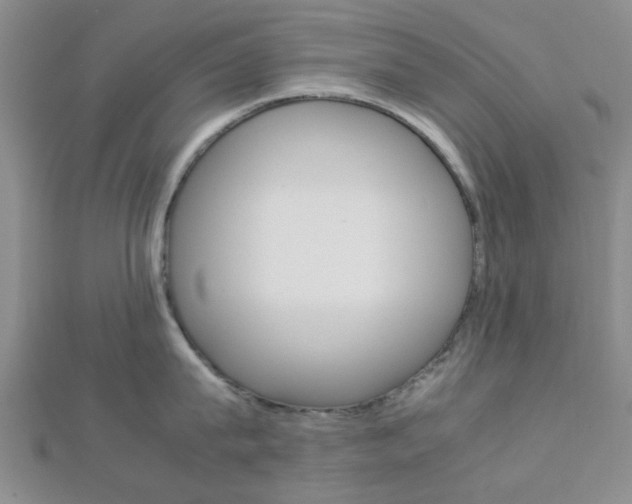 X0000112870815200908211028