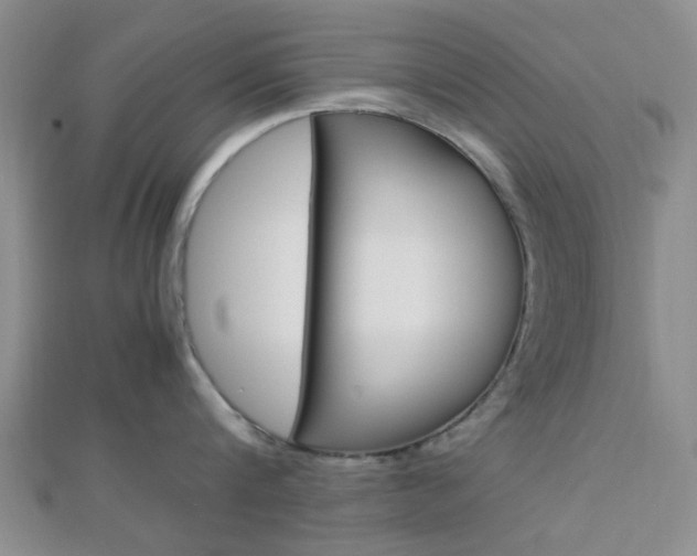X0000112870816200908211028