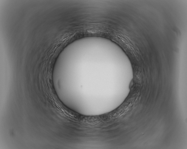 X0000112870817200908211028