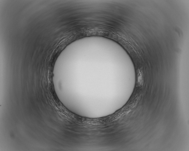 X0000112870819200908211028