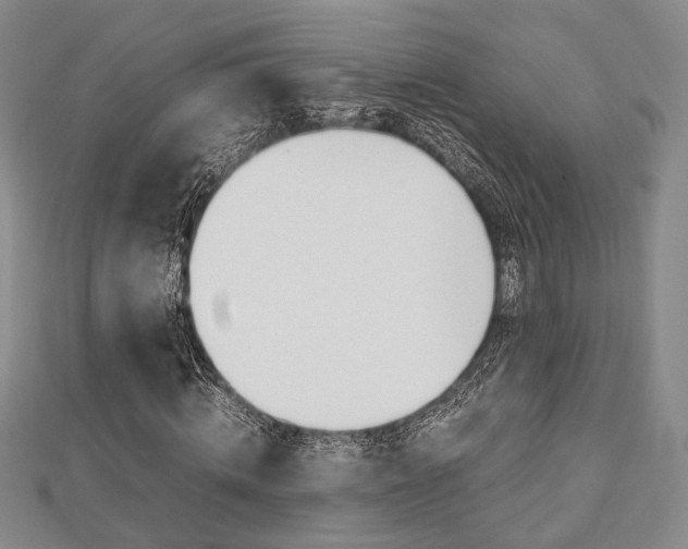X0000112870820200908211028