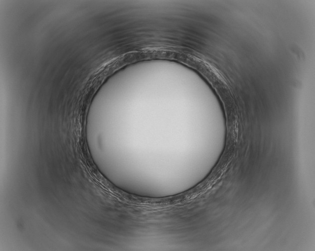 X0000112870821200908211028