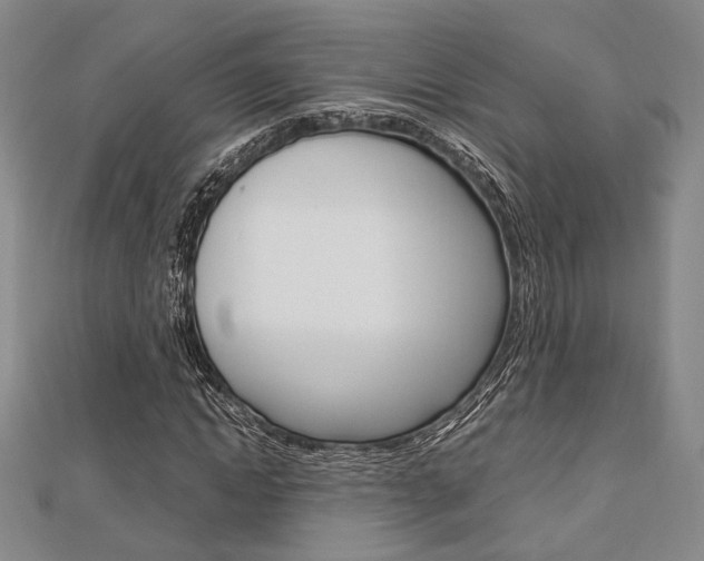 X0000112870822200908211028