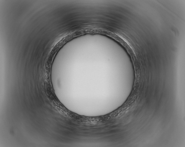 X0000112870823200908211028
