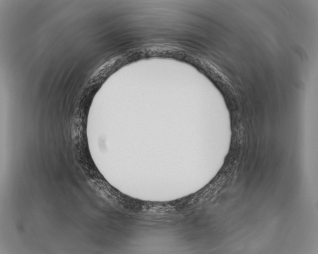X0000112870824200908211028