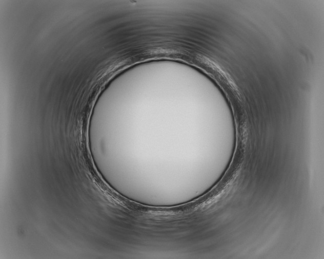 X0000112870825200908211028