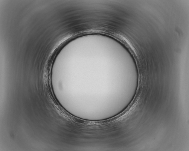 X0000112870827200908211028