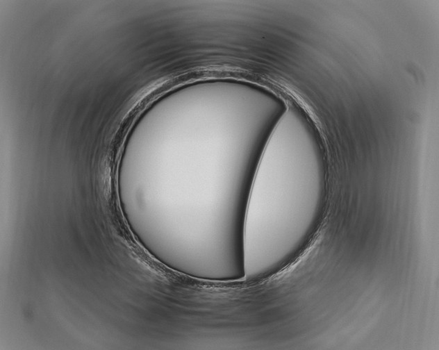 X0000112870829200908211028