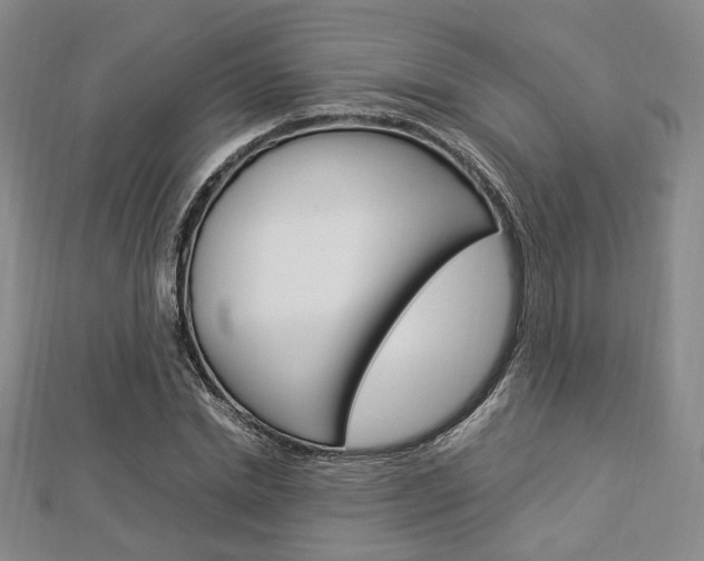X0000112870830200908211028