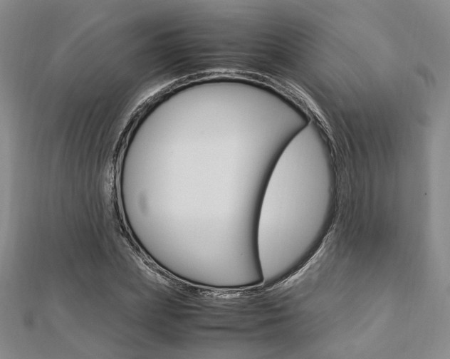 X0000112870831200908211028