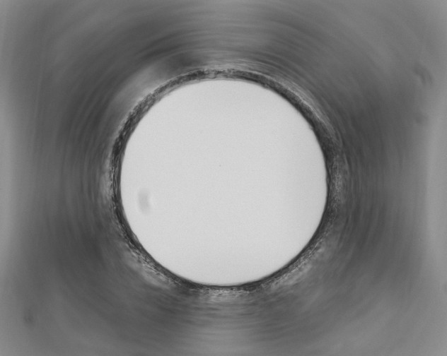 X0000112870832200908211028