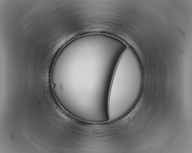 X0000112870834200908211028