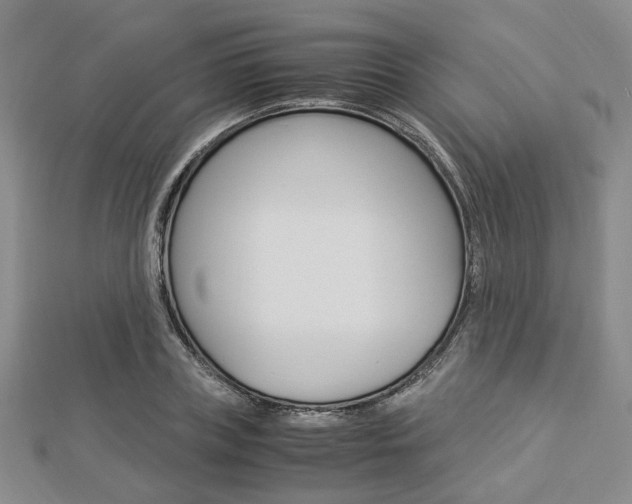 X0000112870835200908211028