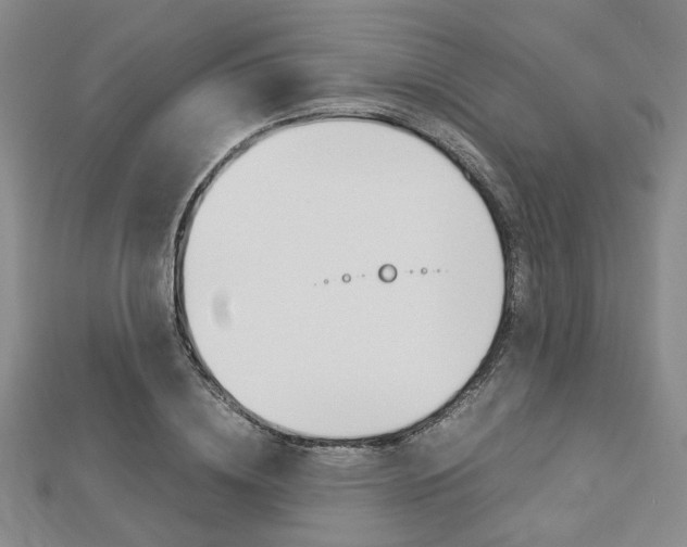X0000112870836200908211028