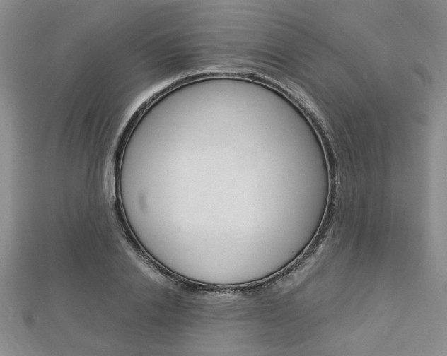 X0000112870838200908211028
