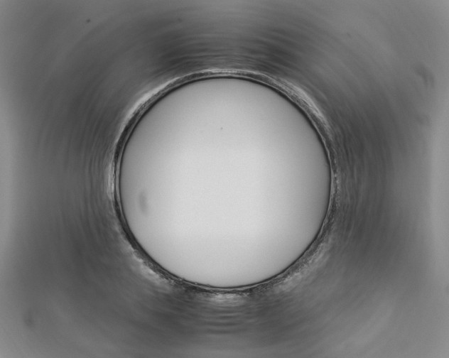 X0000112870839200908211028