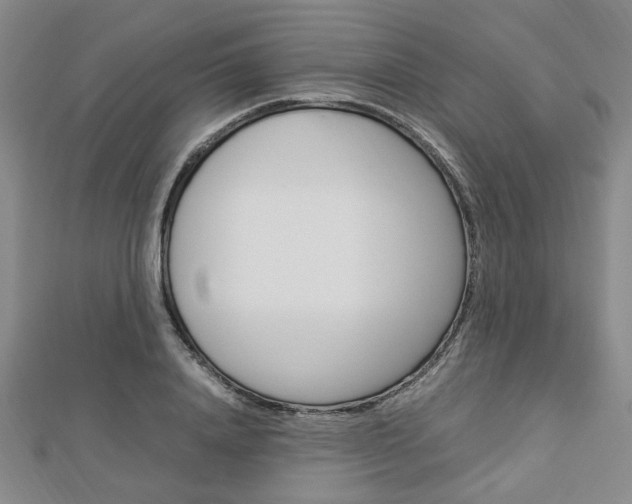 X0000112870840200908211028