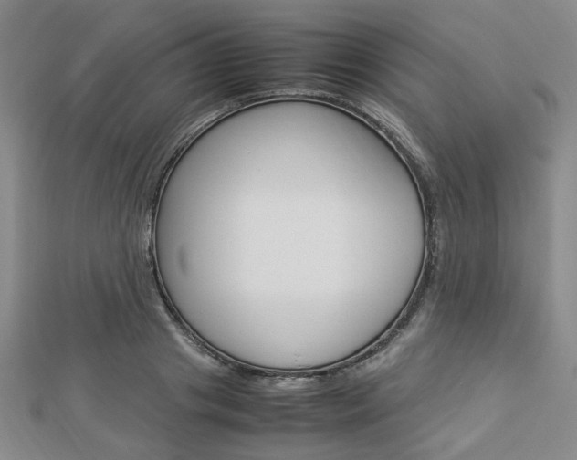 X0000112870841200908211028