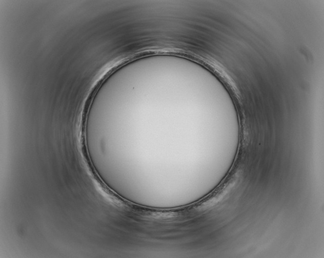 X0000112870845200908211028