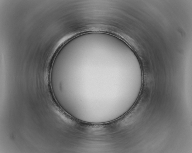 X0000112870846200908211028