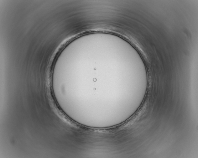 X0000112870848200908211028