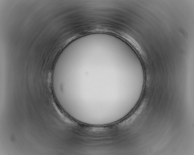 X0000112870849200908211028
